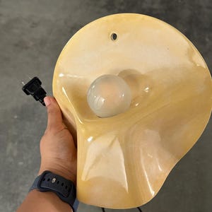 May include: A wall-mounted lamp featuring a glossy, pale yellow, shell-shaped ceramic shade with a smooth, undulating surface. A single, round, frosted glass light bulb is centered within the shade, and a black electrical cord with a plug is attached.