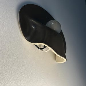 May include: A wall-mounted light fixture featuring a dark brown, curved, organic-shaped shade with a smooth finish. The interior of the shade is cream-colored, and it houses a single, small, round, white light bulb attached by a black cord.