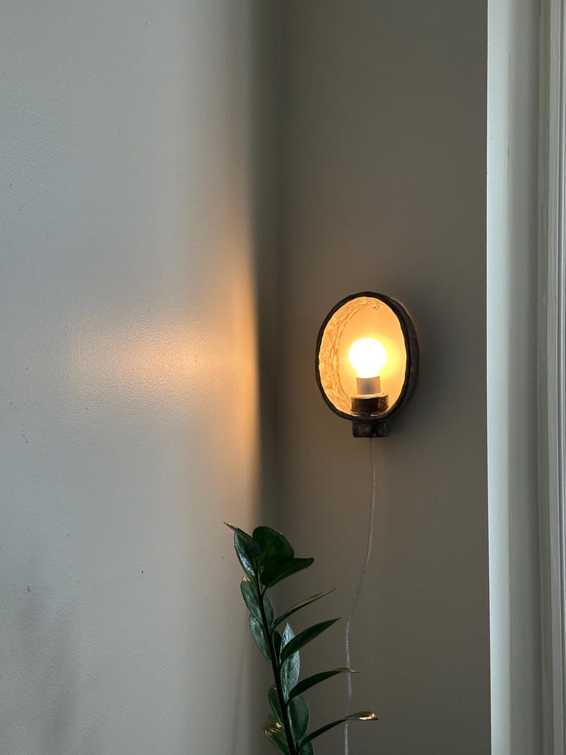 May include: A wall-mounted light fixture with a circular, dark-colored frame. The light bulb is illuminated, casting a warm glow. A green plant is visible in the lower portion of the image, adding a natural element to the scene.
