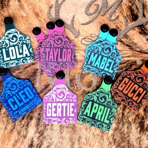 May include: A selection of vibrant name tags, each with a unique name in bold lettering and ornate scrollwork. Names include LOLA, TAYLOR, MABEL, CLEO, GERTIE, APRIL, and GUCCI. The tags are in various colours, such as green, pink, blue, and orange, with a decorative design.