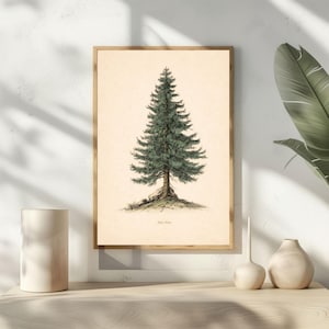 May include: A framed botanical print of a pine tree. The artwork features a detailed illustration of a green pine tree with a brown trunk, set against a cream-colored background. The print is in a wooden frame and is displayed on a white surface.