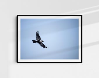 Carried by the Wind - Fine Art Print A4 | Nature Photography on Hahnemühle Paper | Art Print Wall Art