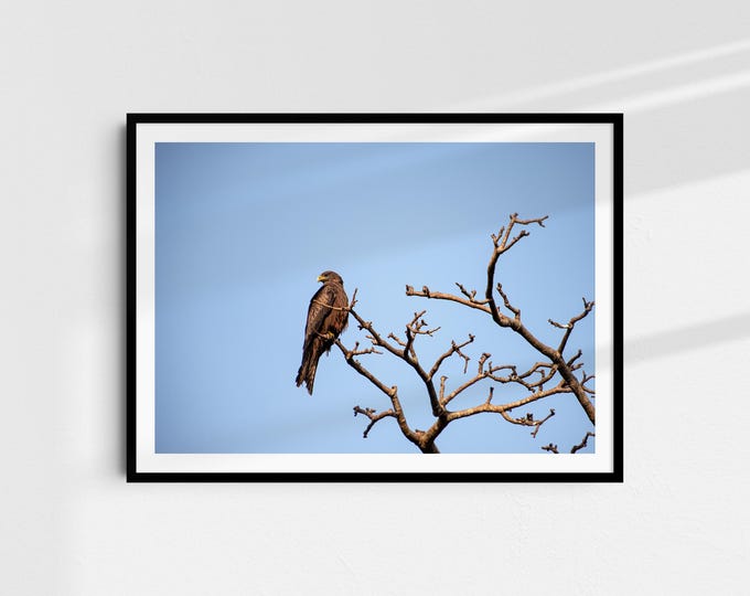 Guardians of the Sky - Fine Art Print A4 | Nature Photography on Hahnemühle Paper | Art Print Wall Art