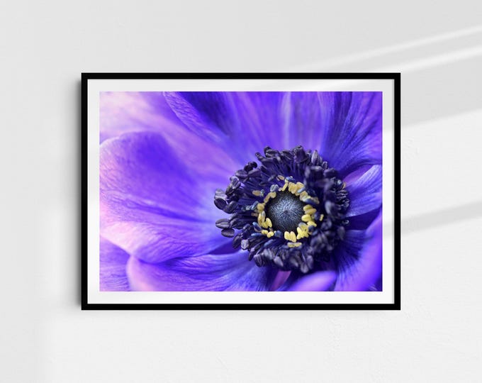 Soul of the Flower - Fine Art Print A4 | Nature photography on Hahnemühle paper | Art print wall art