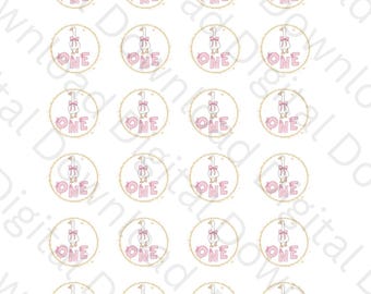 Digital nedladdningsbar PDF - One Silly Goose - 3,8 cm för tårtpoppar