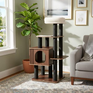 May include: A multi-level cat tree with a brown wood finish, black sisal-wrapped posts, and a cream-colored plush bed. The cat furniture includes a cubby with a circular opening and multiple platforms for climbing and lounging.