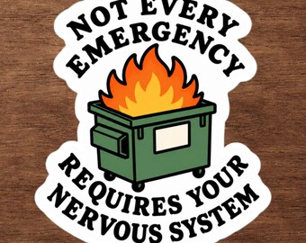 Dumpster Fire Sticker – Mental Health Humor, Anxiety Reminder, Emotional Regulation Tool