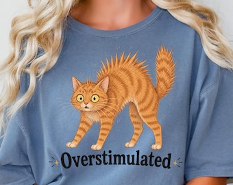 Overstimulated Shirt, Sensory Overload Shirt, Everything is Fine, Orange Cat Shirt, Everything is Fine Shirt Cat Shirt Funny Introvert Shirt