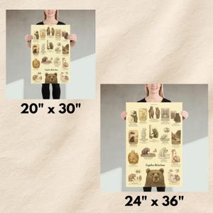 May include: A cream-colored educational poster titled Cognitive Distortions featuring various brown bear illustrations and descriptive text. The poster is displayed in two sizes, 20 inches by 30 inches and 24 inches by 36 inches, showcasing the same bear-themed graphic design.