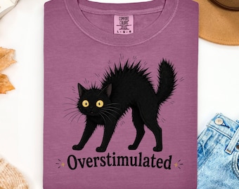 Overstimulated Shirt, Sensory Overload Shirt, Everything is Fine, Black Cat Shirt, Everything is Fine Shirt, Cat Shirt Funny Introvert Shirt