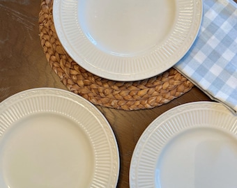 Set of 6 Mikasa Italian Countryside Dinner Plates | 8.8 Inch / 9