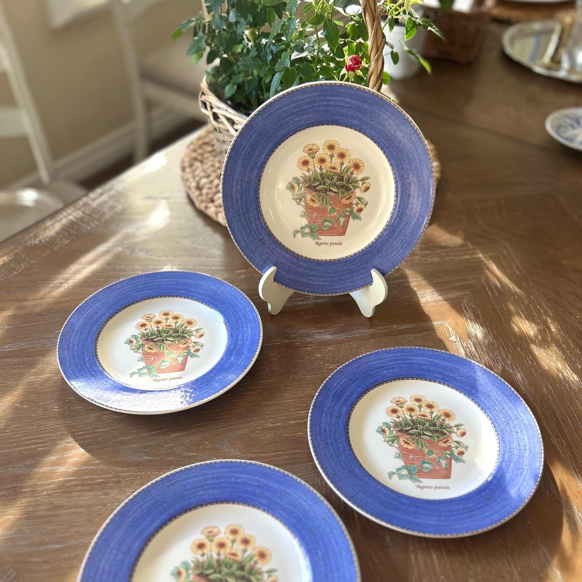 Sarahs Garden Wedgewood - Etsy