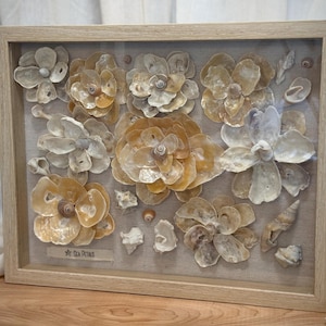Könnte beinhalten: Ein rechteckiger Schattenfugenrahmen aus hellem Holz mit einer Sammlung beiger und weißer Muscheln, die wie Blumen angeordnet sind. Ein kleines rechteckiges Etikett in der unteren linken Ecke zeigt ein Sternsymbol und den Text Sea Petals.