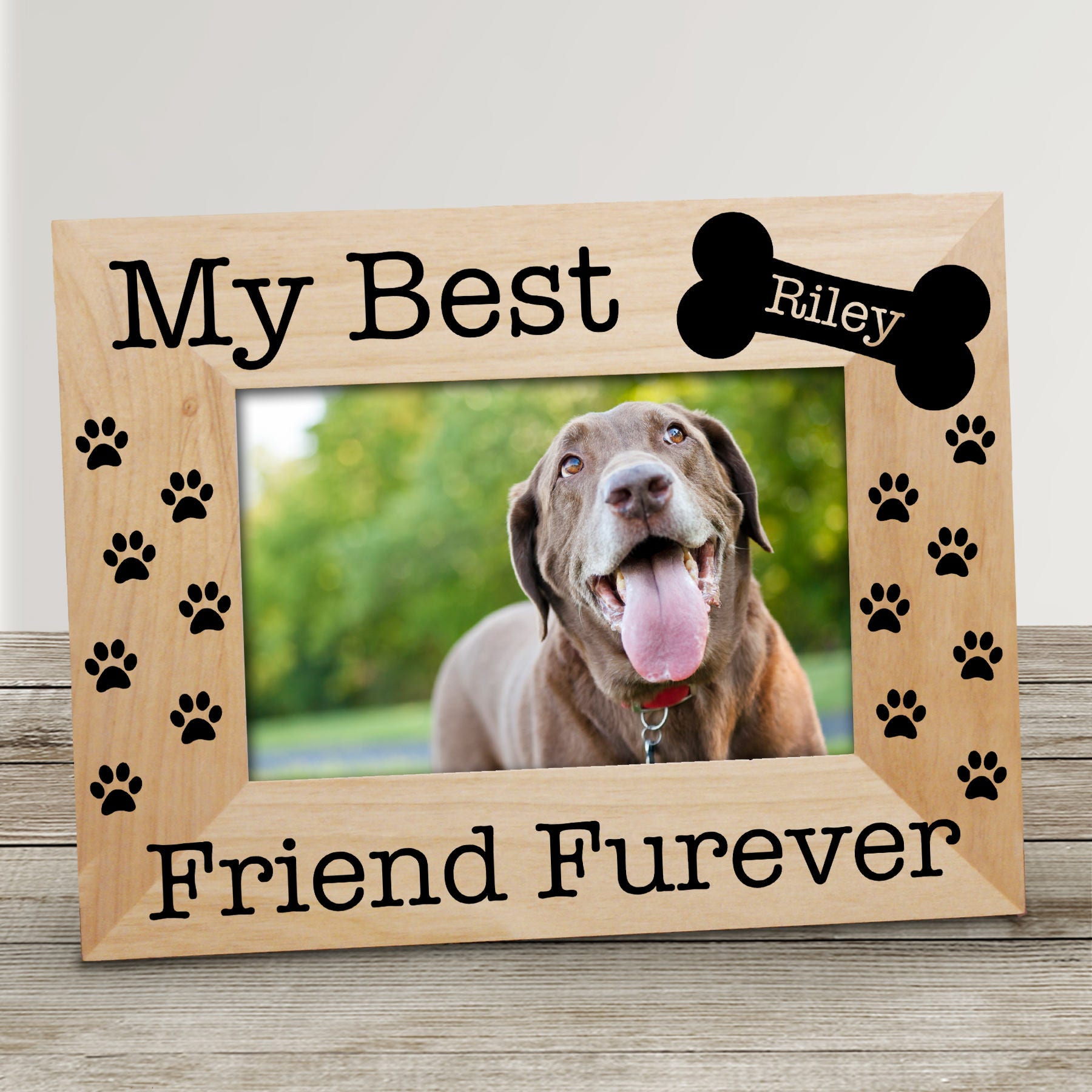 You Were My Favorite Hello Hardest Goodbye Personalized Dog Frame