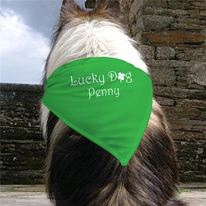 Personalized Lucky Dog Green Bandana, Custom Pet Gift, Pet Apparel Dog Clothes, Tie On Bandana, Irish Bandana, St. Patrick&#39;s Day Bandana