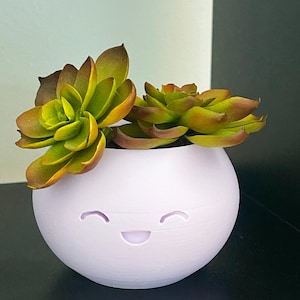 May include: A small, round, lavender-colored planter with a smiling face design, holding a succulent plant. The plant has green and brown leaves. The planter is sitting on a black surface.