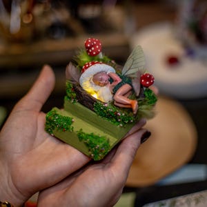 Può includere: Una stravagante statuetta di fata, raffigurante una fata addormentata con un cappello a fungo, appoggiata su una piattaforma verde muschiosa. Funghi rossi e bianchi e delicate ali sono visibili. La statuetta è tenuta tra le mani di una persona.