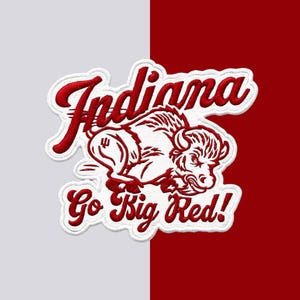 May include: An embroidered patch featuring a white bison graphic in the center with the red text Indiana above and Go Big Red! below. The design has a thick white border and is set against a split background of light gray and deep red.