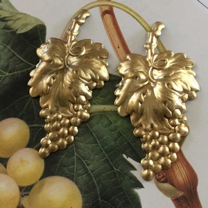 Vine of Grapes (1 pc)