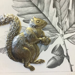 May include: A silver-colored squirrel figurine with a bushy tail, sitting on a white background with a black and white drawing of an oak leaf.