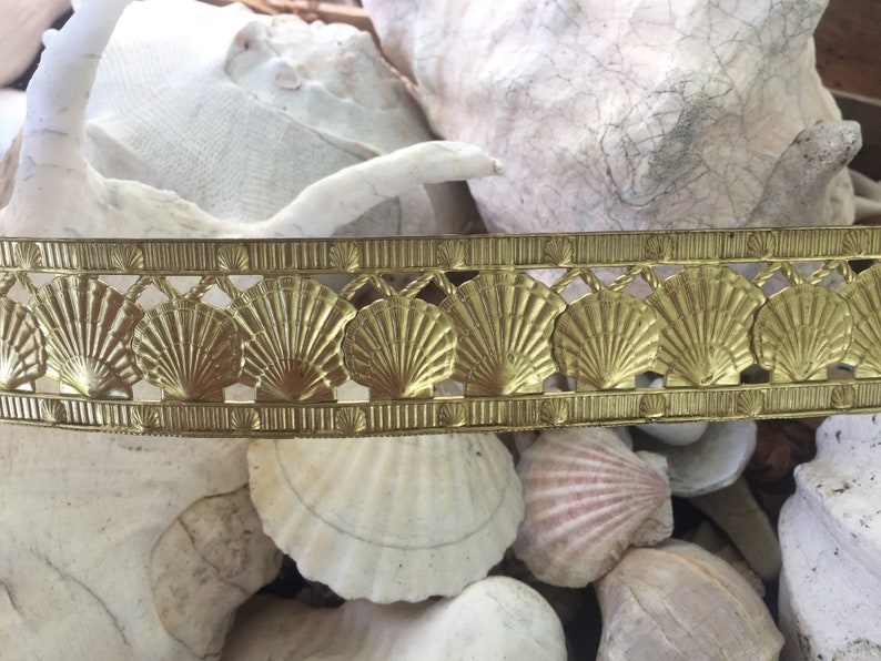 RARE Scallop Shell Banding 1 foot image 3