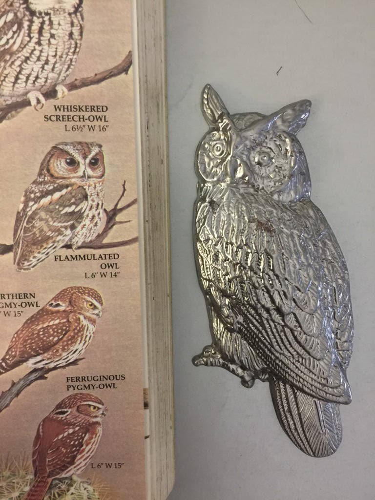 RARE Barn Owl LARGE STEEL Stamping (1 pc)