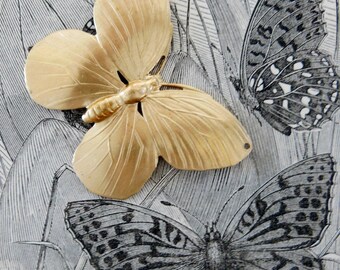 Domed Butterfly (2 pc) NO HOLES