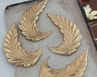 Gorgeous Curved Ferns (1 pair )