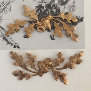 May include: Two gold-colored oak leaf and acorn decorative elements. The leaves are detailed with veining, and the acorns have textured caps. The elements are displayed against a background of botanical illustrations.