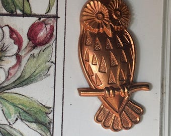 Lechuza encantadora - Estampado alemán (1 pieza)