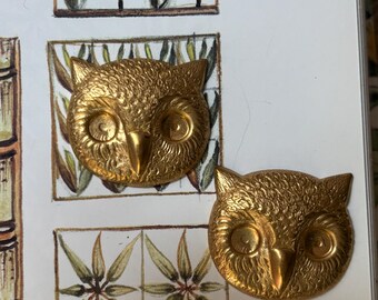 Cabeza de búho cornudo (2 piezas)