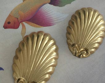 Classic Scallop Shell (2 pc)