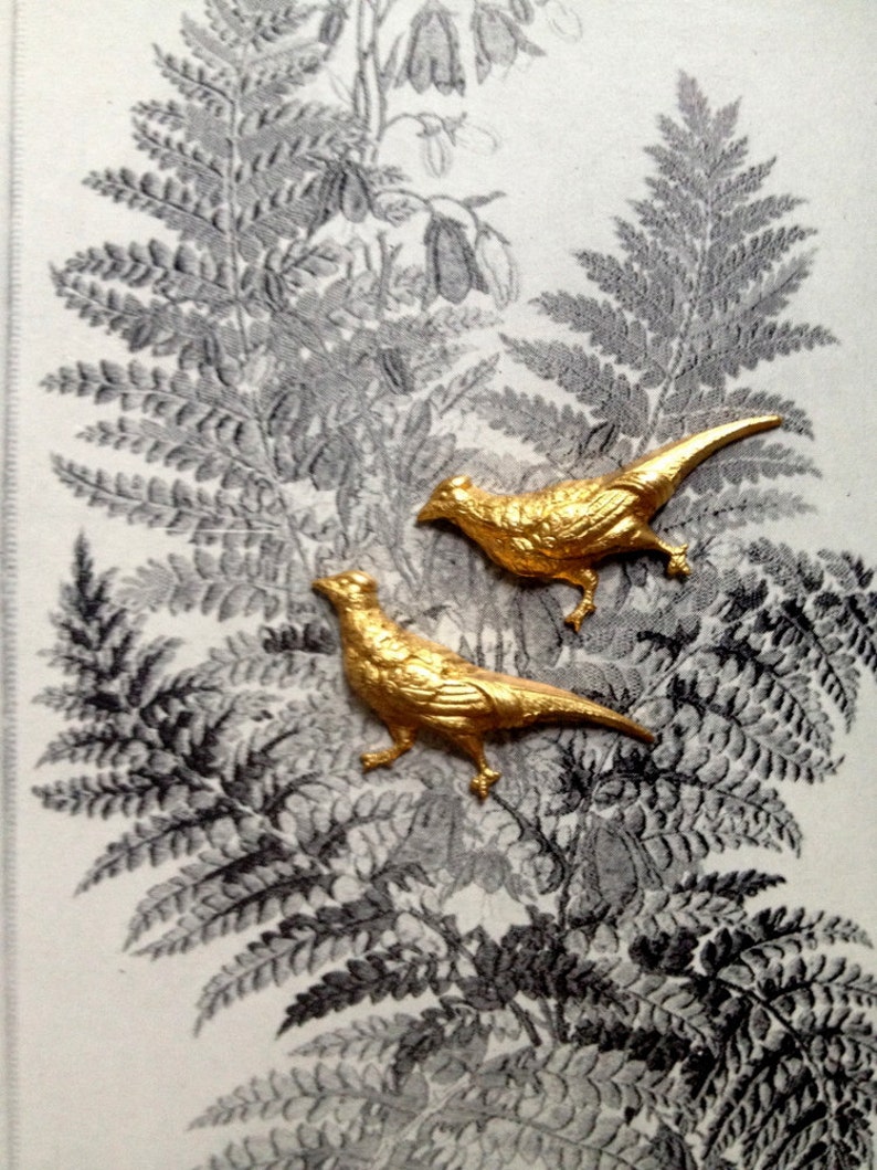 2 pc Tiny Pheasants