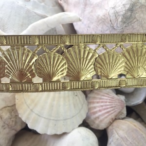 RARE Scallop Shell Banding 1 foot image 2