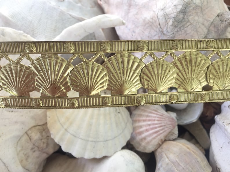 RARE Scallop Shell Banding 1 foot image 2