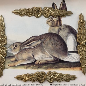 Raro grande banner BOW Vintage