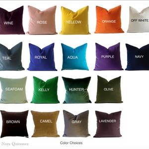 May include: A collection of square velvet throw pillows in various colors, including wine, rose, yellow, orange, off-white, teal, royal, aqua, purple, navy, seafoam, kelly, hunter, olive, brown, camel, gray, and lavender. The text "Color Choices" is at the bottom.