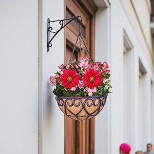 May include: A hanging flower basket filled with vibrant red and pink flowers. The basket is made of metal with an ornate design and is suspended by chains from a black bracket. The basket is mounted on a white wall next to a wooden door.