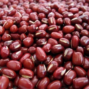 May include: A large collection of dried adzuki beans, each featuring a smooth, deep reddish-brown surface and a distinct, elongated white hilum. The beans are oval-shaped and packed closely together, creating a uniform, textured surface.