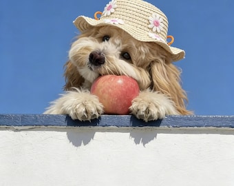 Sombrero de paja hecho a mano para mascotas / Lindo accesorio de verano para perros y gatos, accesorio para fotografía