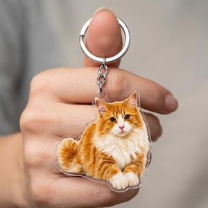 May include: A clear acrylic keychain featuring a detailed, full-color illustration of a fluffy orange and white tabby cat in a resting position. The cat has long fur, amber eyes, and a pink nose. It is attached to a silver-toned metal split ring.
