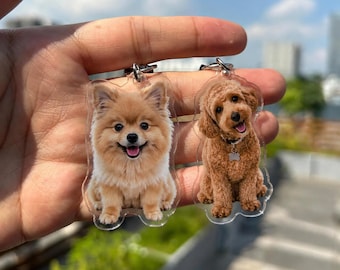 Custom Pet Portrait Keychain, Personalized Acrylic Pet Keepsake, Cat Memorial Gift