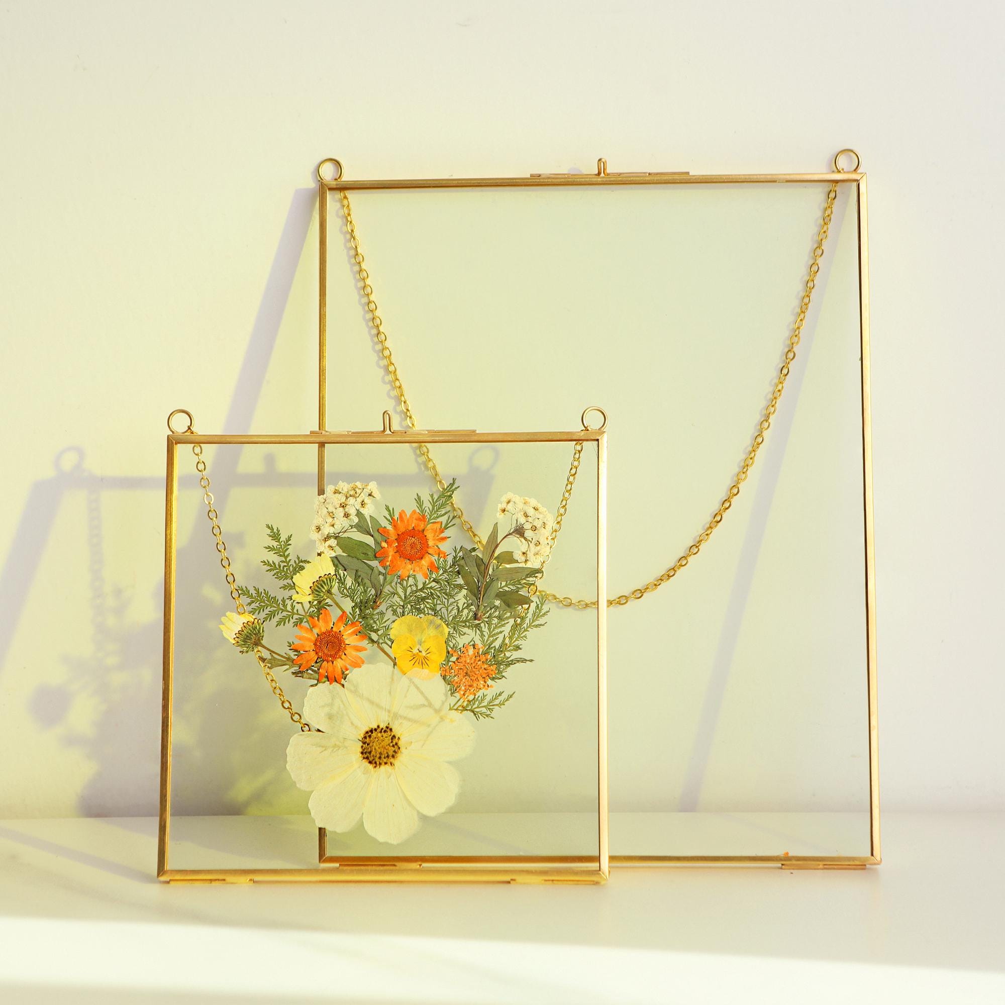 Clear Double Glass Frame For Pressed Flowers & Art Display