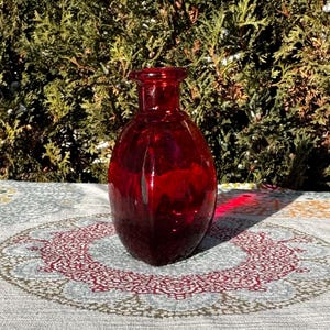 Może przedstawiać: Ciemnoczerwony szklany wazon o zaokrąglonym korpusie i wąskiej szyi. Wazon stoi na wzorzystym obrusie z zielonym, czerwonym i niebieskim wzorem. Tło to gęsty zielony krzew.