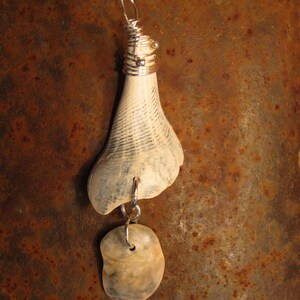 May include: A silver wire wrapped seashell pendant with a smaller seashell charm hanging from it. The pendant is hanging from a silver chain.