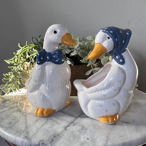 May include: Two ceramic duck figurines. One duck wears a blue bow tie, the other a blue polka-dot bonnet. Both ducks have white bodies, orange beaks and feet. The ducks are on a marble-topped table with a dark wooden base.