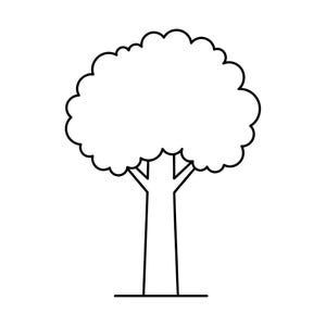 Può includere: Un disegno a tratto nero e bianco di un albero. L'albero ha un tronco spesso, una chioma piena e arrotondata e una piccola linea di base. L'immagine è una rappresentazione minimalista di un albero.