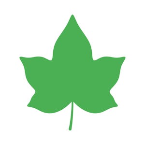 Op de afbeelding: Een effen groene bladvorm met een puntige top en drie lobben aan elke kant. Het blad heeft een steel aan de onderkant en staat tegen een witte achtergrond. De afbeelding is een eenvoudige, grafische weergave van een blad.