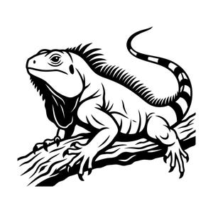 Puede incluir: Ilustración en blanco y negro de una iguana posada en una rama. La iguana se muestra de perfil, con una cresta dorsal espinosa, escamas detalladas y una larga cola rayada. La obra de arte es una representación gráfica audaz.