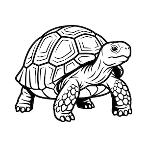 May include: A detailed black and white illustration of a tortoise. The tortoise is depicted in a side profile, showcasing its textured shell, scaly legs, and a detailed head. The artwork is a clean, graphic design.